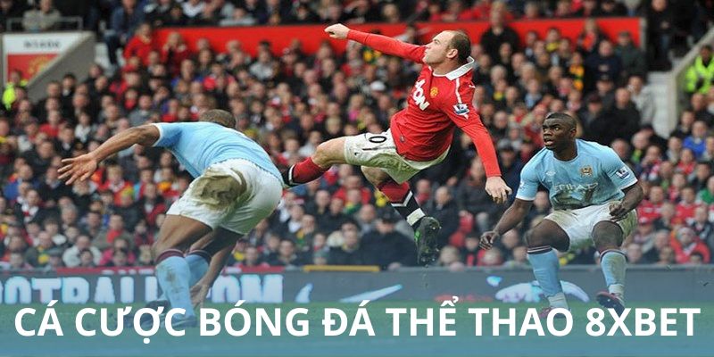 Cá cược bóng đá trong thể thao 8xbet